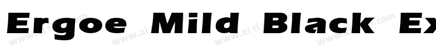 Ergoe Mild Black Exp字体转换